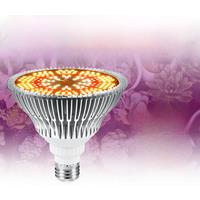150W E27 LED Plant Grow Light Bulb Full Spectrum E14 Vegetable Seedlings Flowering Fruiting Cultivation Hydroponics Growing Lamp
