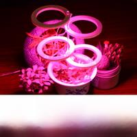LED Plant Grow Lights Full Spectrum Timing Auto On/Off Dimmable For Flowering Seedling Fruiting Hydroponic Cultivation Lamp DC5V