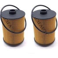 2 x Engine Oil Filter for Porsche Cayenne Volkswagen CC Passat 3.6L V6 GAS DOHC OX983DECO,