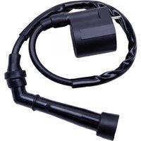 Motorcycle Ignition Coil for Yamaha Grizzly 660 YFM660 YFM 350 2002 2003 2004 2005 2006 2007 2008 Bear Tracker ATV Parts