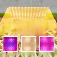 40W 20W LED Grow Light Full Spectrum Quantum Board Plant Lamp Flower Vegetable Cultivation Hydroponics Growing Lights AC100-277V