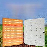 LED Grow Light Full Spectrum Plant Lamp Indoor Flower Hydroponics Greenhouse Tent Vegetable Cultivation Quantum Board AC100-277V