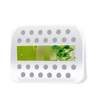 Car 230g Solid Perfume Air Freshener Car Balm Deodorizing Long-Lasting Fragrance Scent Mint