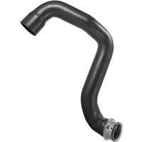Lower Radiator Coolant Hose For Mercedes C219 W211 CLS500 E500 M113 2115010682