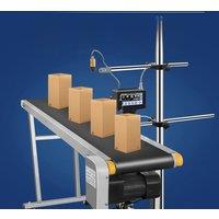 Automatic Batch Number Number Date Biscuit Egg Cable Inkjet Printer Online Printer With Conveyor Belt