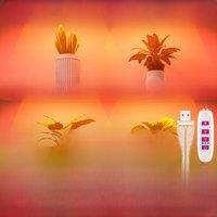LED Grow Lights Full Spectrum Quantum Board Cultivation Lamp USB DC5V With Timing Dimmable For Indoor Flower Vegetable Pot Plant
