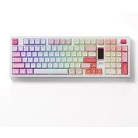 Akko 5098B Prunus Lannesiana Wireless Mechanical Gaming Keyboard With TFT Screen Vertical Knob 96 Keys Hot Swap RGB Gasket Mount