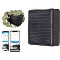4G WIFI Solar GPS Tracker IP67 Watterproof Cattle Cow Sheep Horse Camel for Pets Tracking Device Person pet smart gps locator