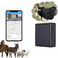 2025 Solar GPS Tracker RF-V24 2G 4G 4000mAh WIFI Cattle Cow Sheep Horse Camel Pets Tracking Device Person pet smart gps locator