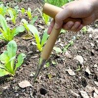 Hand Sow Dibbler With Wood Handle For Sowing Seeds Transplanting Plants Planting Bulbs Digging