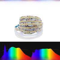 Sunlike High Efficiency Full Spectrum 24V LED Strip Light White Natural Color Best Eye Safety