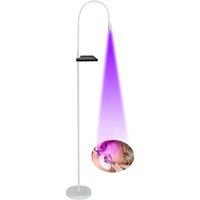 UV Lash Light UV Eyelash Glue 5W LED Eyelash Extensions Nail Tech Glue Lamp with Foot Pedal Control Glue Cured in 2-3 Seconds