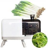 PBOBP 1.8mm 2.2mm 3mm Automatic Vegetable Shredding Machine Stainless Steel Blade Commercial Green