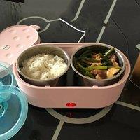 Electric Lunch Box USB Bento Food Heater Container Car Home Office Travel Portable Warmer Stainless Steel Heating Rice Cooker