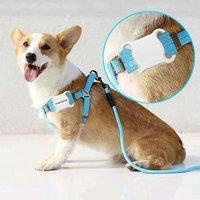 Mini Pet GPS Locator Tracker Waterproof Bluetooth-compatible Tracking Dog Cat Collar Anti-Lost
