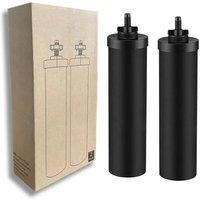 Replacement 2 BB9-2 and 2 Fluoride Water Filter PF-2 Compatible with Black Berkey Gravity Water
