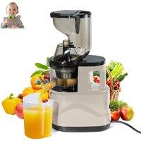 2025 New Juicer Machines 3.15inch Slow Cold Press Juicer with Large Feed Chute Cold Press Juicers