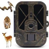 SuntekCam Wildlife Trail Cameras 50MP 4K IP65 Hunting Camera HC940A 10*AA Battery Night Vision Photo