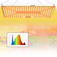 300W LED Plant Growing Lights Full Spectrum Quantum Board Lamp Indoor Flower Greenhouse Vegetables Hydroponics Cultivation IR UV