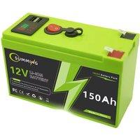 LiFePO4 12V Battery BMS 4000+Cycle Rechargeable Lithium Battery For Toys Scooters Solar Fish Finder Power Wheel Car Boat Home RV