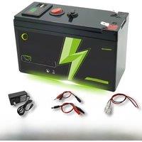 Rechargeable LiFePO4 12V Battery BMS 4000+Cycle Lithium Battery For Toys Scooters Solar Fish Finder Power Wheel Car Boat Home RV