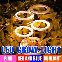 LED Plant Grow Light Full Spectrum Indoor Flower Seeds Hydroponic Vegetable Growth Box Cultivation Lamp USB Dimmable Timing