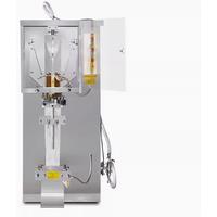 High Viscosity Automatic Liquid Sachet Water Bag Filling Packing Ketchup Pouch Quantitative Liquid Packing Machine