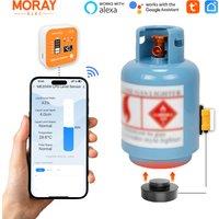Moray ME204R Gateway Gas Tank Indoor Temperature Meter Gauge Bottle Propane Butane LPG Tank Level Sensor