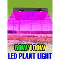 100W LED Full Spectrum Grow Light Quantum Board Plant Lamp For Indoor Greenhouse Tent Vegetable Tomato Cultivation Fill Lighting