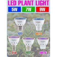 E27/E26 LED Grow Light Bulb E14 Full Spectrum Indoor Flower Potted Plant Grow Box Cultivation Lamp GU10 MR16 B22 AC220V 5W 7W 9W