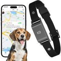 4G GPS Pet Tracker Collar Real-Time Location Tracking With Free App No Monthly Fee IP67