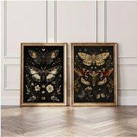 Gothic Plants Flowers Butteryfly Moths Canvas Prints Dark Art Moddy Wall Art Posters for Modern Living Room Halloween Home Decor