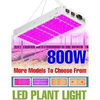 800W LED Grow Lights Full Spectrum Hydroponics Cultivation Plant UV Lamp AC100-277V For Indoor Greenhouse Tent Tomato Vegetables