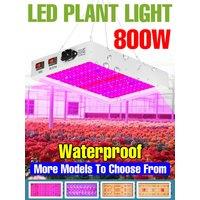 800W LED Full Spectrum Grow Lights Full Spectrum Hydroponics Plant Cultivation Lamp UV IR For Greenhouse Tent Tomato Vegetables