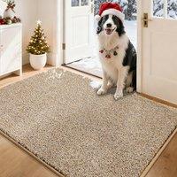 COSY HOMEER Nonslip Door Mats Indoor, 80 x 120cm Washable Dirt Trapper Welcome Front Doormat for Entryway Room Hallway, Absorbent Indoor Floor Mat for