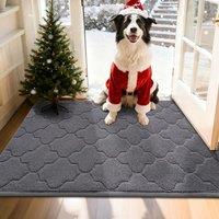 COSY HOMEER Front Door Mat 80x120 CM, Dirt Trapper Floor Mat, Polyester Welcome Door Mat for Kitchen Room Office Entryway Doors, Absorbent NonSlip In