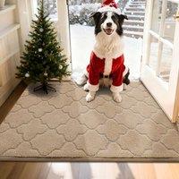 COSY HOMEER Front Door Mat 80x120 CM, Dirt Trapper Floor Mat, Polyester Welcome Door Mat for Kitchen Room Office Entryway Doors, Absorbent NonSlip Lo