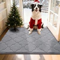 COSY HOMEER Front Door Mat 80x120 CM, Dirt Trapper Floor Mat, Polyester Welcome Door Mat for Kitchen Room Office Entryway Doors, Absorbent NonSlip In