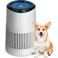 Air Purifiers for Home, Air Purifier for Smoke Pet Dander Odors with Fragrance Sponge, Small Air Purifier with Sleep Mode for Bedroom Office, Blue Amb