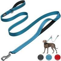 Fida Heavy Duty Dog Leads for Medium/Large Dogs, 1.8M / 6FT Traffic Handle & Advanced Hook for More Control, Reflective Dog Lead for Daily Walking & T