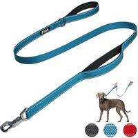 Fida Heavy Duty Dog Leads for Medium/Large Dogs, 1.5M / 5FT Traffic Handle & Advanced Hook for More Control, Reflective Dog Lead for Daily Walking & T