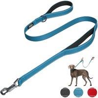 Fida Heavy Duty Dog Leads for Medium/Large Dogs, 1.2M / 4FT Traffic Handle & Advanced Hook for More Control, Reflective Dog Lead for Daily Walking & T