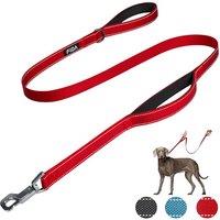Fida Heavy Duty Dog Leads for Medium/Large Dogs, 1.5M / 5FT Traffic Handle & Advanced Hook for More Control, Reflective Dog Lead for Daily Walking & T