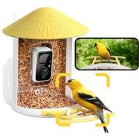 NETVUE Birdfy-Smart Bird Feeder Camera, Auto Capture and Record Bird Videos & Push Motion Notification, WiFi Bird Camera, Bird Box Camera, Bird Watchi