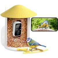 Birdfy -Smart Bird Feeder Camera, Auto Record and Save Bird Videos & Push Motion Notification, Clear Night Vision, Wireless Bird Box Camera, Camera Bi