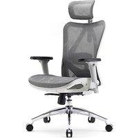 SIHOO Ergonomic Office Chair Mesh Desk Chair with Adjustable Lumbar Support 3D Armrests Breathable High Back Computer Chair (Light Gray)