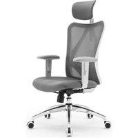 SIHOO M18 Ergonomic Office Chair, Computer Desk Chair with Adjustable Headrest and Lumbar Support, High Back Executive Swivel Chair for Home Office (G