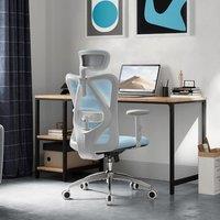 SIHOO M18 Ergonomic Office Chair, Computer Desk Chair with Adjustable Headrest and Lumbar Support, High Back Executive Swivel Chair for Home Office (M