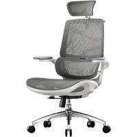 SIHOO M59AS Ergonomic Office Chair, Desk Chair with 3D Coordinated Flip-up Armrests, Computer Chair with Dual Back Design and Adaptive Dynamic Lumbar