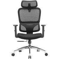 SIHOO Ergonomic Office Chair - Adjustable Desk Chair with 3D Dynamic Lumbar Support, Breathable Mesh Back, Adjustable Headres and PU Armrests for Home